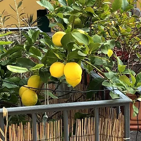 Profiter Des Plages Et Du Vieux